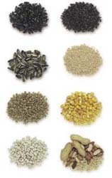 Different Seeds