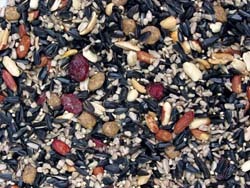 WBU Winter Blend